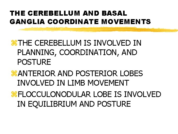 THE CEREBELLUM AND BASAL GANGLIA COORDINATE MOVEMENTS z. THE CEREBELLUM IS INVOLVED IN PLANNING,