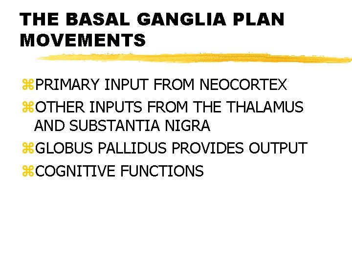 THE BASAL GANGLIA PLAN MOVEMENTS z. PRIMARY INPUT FROM NEOCORTEX z. OTHER INPUTS FROM