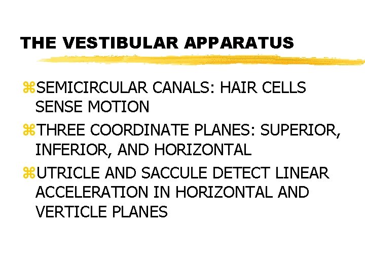 THE VESTIBULAR APPARATUS z. SEMICIRCULAR CANALS: HAIR CELLS SENSE MOTION z. THREE COORDINATE PLANES: