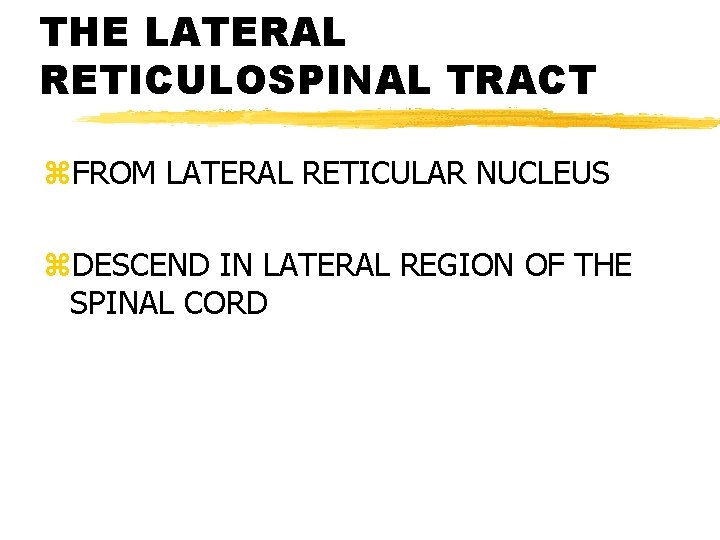 THE LATERAL RETICULOSPINAL TRACT z. FROM LATERAL RETICULAR NUCLEUS z. DESCEND IN LATERAL REGION