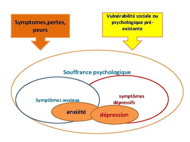 Vulnérabilité sociale ou psychologique préexistante Symptomes, pertes, peurs Souffrance psychologique symptômes dépressifs Symptômes anxieux