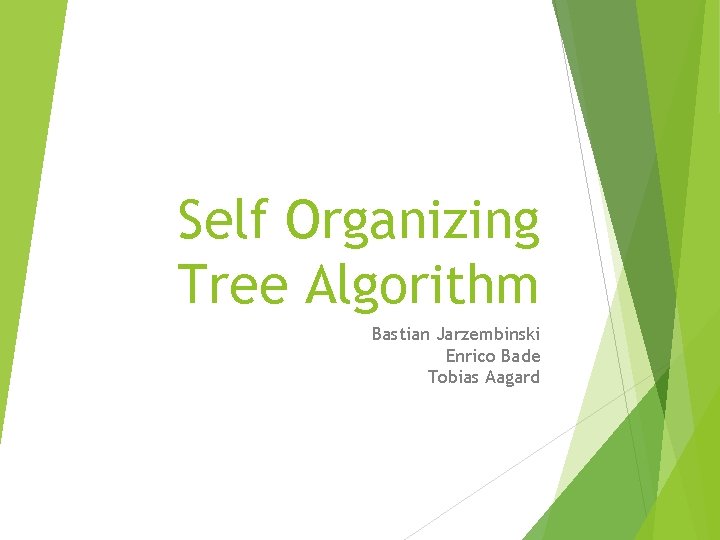 Self Organizing Tree Algorithm Bastian Jarzembinski Enrico Bade Tobias Aagard 