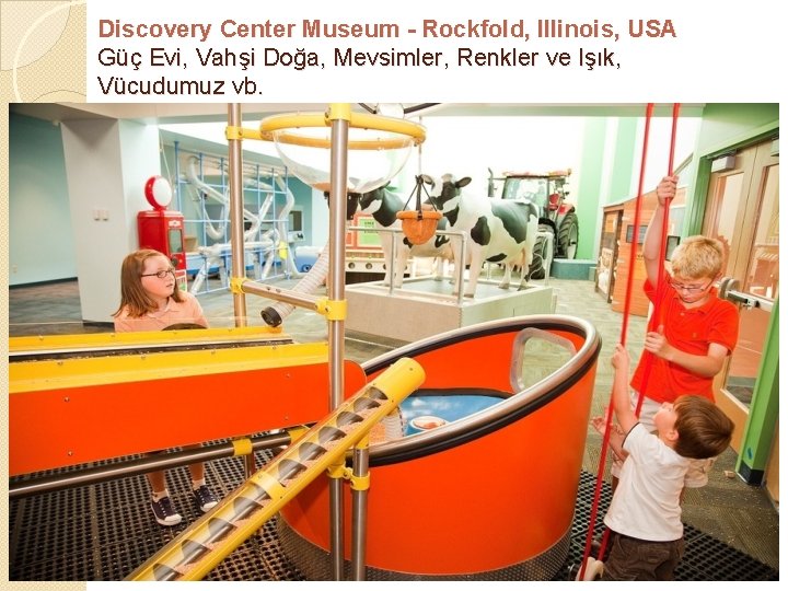 Discovery Center Museum - Rockfold, Illinois, USA Güç Evi, Vahşi Doğa, Mevsimler, Renkler ve