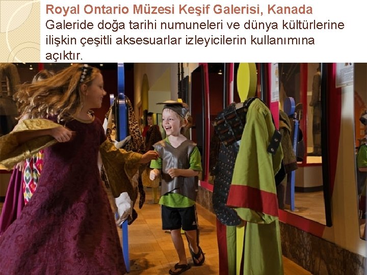 Royal Ontario Müzesi Keşif Galerisi, Kanada Galeride doğa tarihi numuneleri ve dünya kültürlerine ilişkin