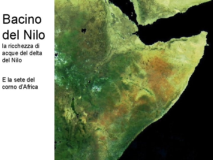 Bacino del Nilo la ricchezza di acque delta del Nilo E la sete del