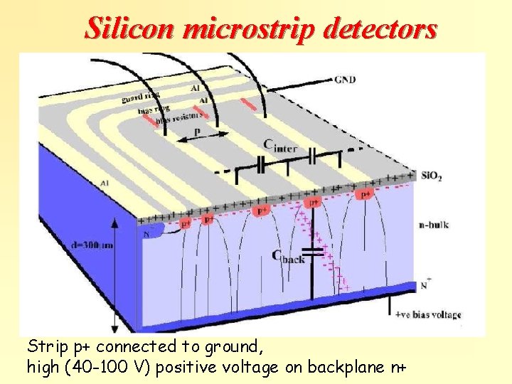 Silicon microstrip detectors Strip p+ connected to ground, high (40 -100 V) positive voltage