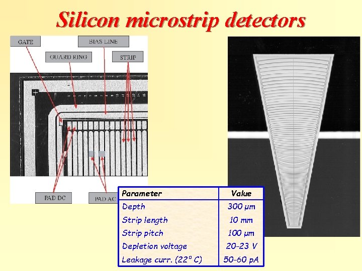 Silicon microstrip detectors Parameter Value Depth 300 μm Strip length 10 mm Strip pitch