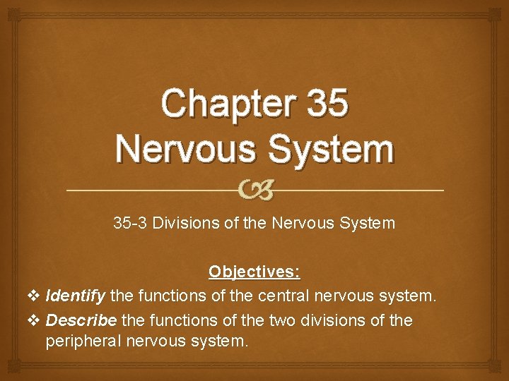 Chapter 35 Nervous System 35 -3 Divisions of the Nervous System Objectives: v Identify