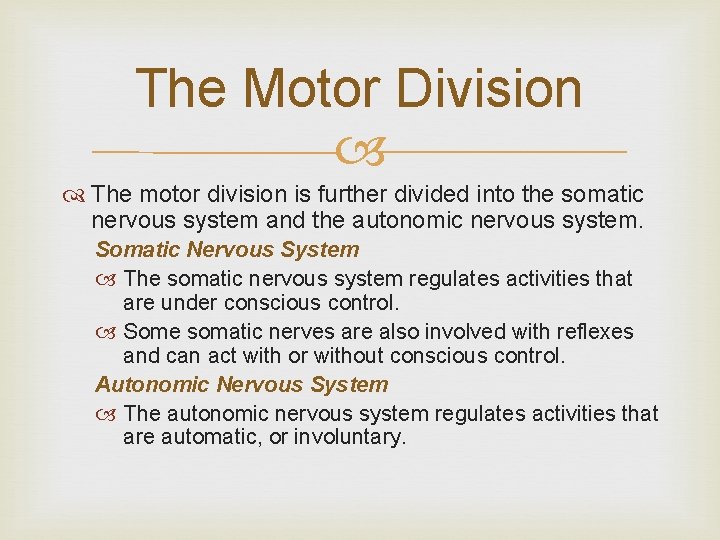 The Motor Division The motor division is further divided into the somatic nervous system