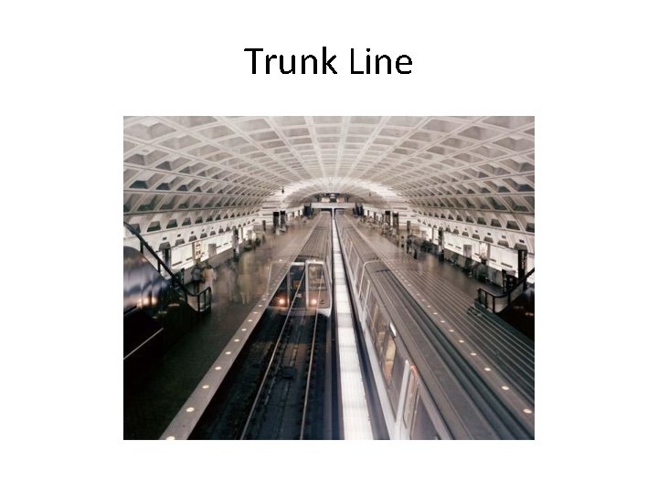 Trunk Line 