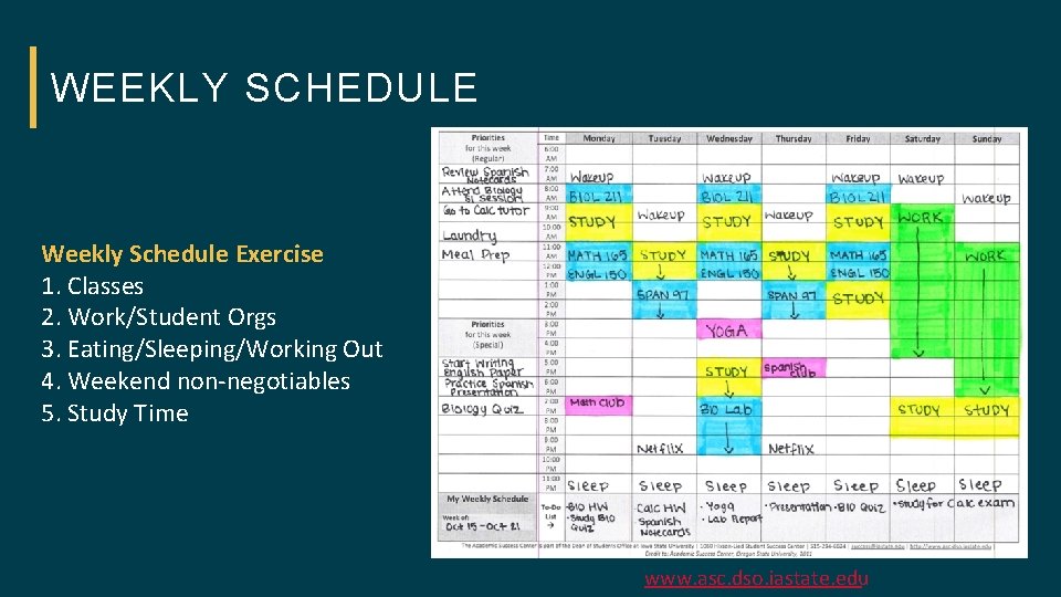 WEEKLY SCHEDULE Weekly Schedule Exercise 1. Classes 2. Work/Student Orgs 3. Eating/Sleeping/Working Out 4.