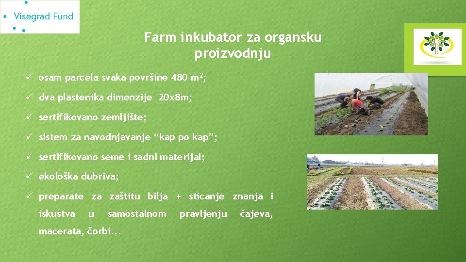 Farm inkubator za organsku proizvodnju ü osam parcela svaka površine 480 m 2; ü