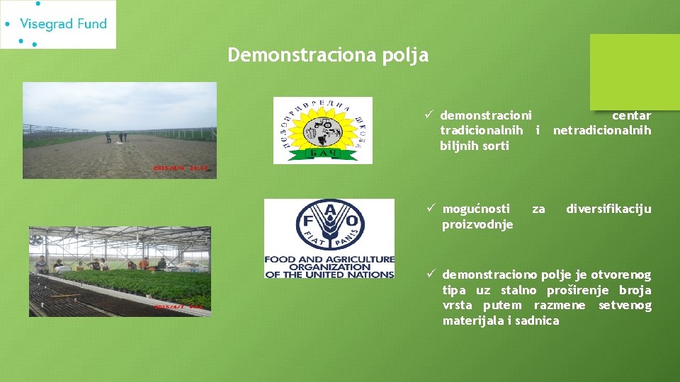 Demonstraciona polja ü demonstracioni tradicionalnih i biljnih sorti ü mogućnosti proizvodnje za centar netradicionalnih