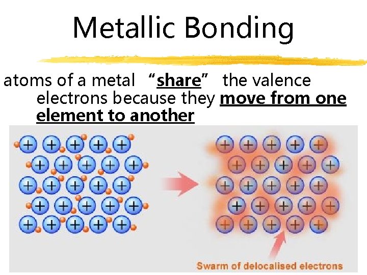 Metallic Bonding atoms of a metal “share” the valence electrons because they move from