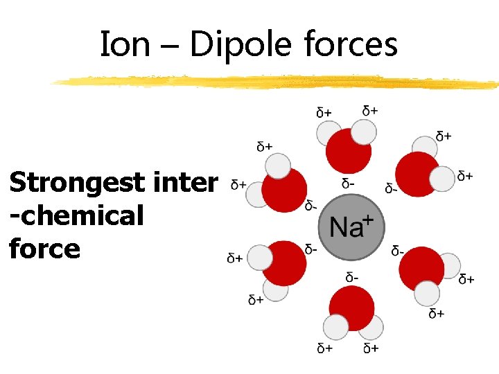 Ion – Dipole forces Strongest inter -chemical force 