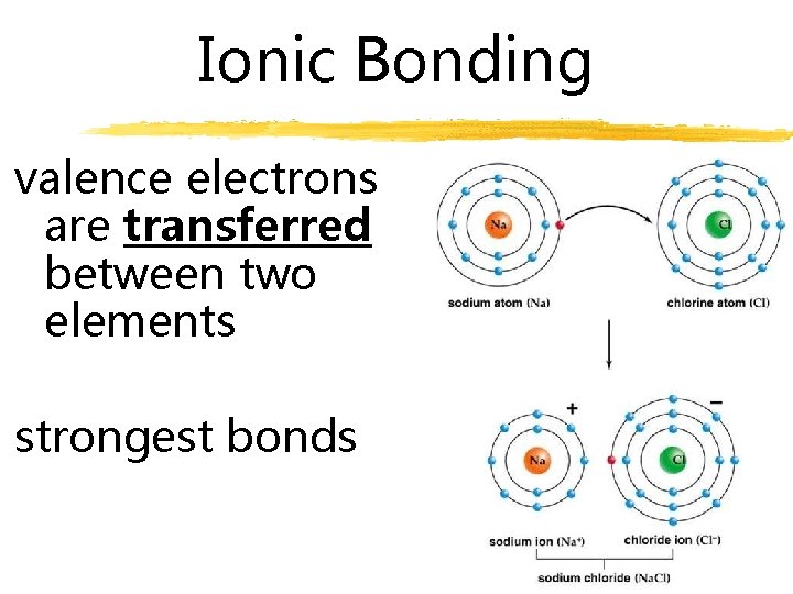 Ionic Bonding valence electrons are transferred between two elements strongest bonds 