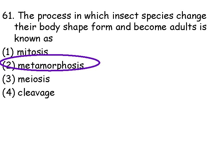 61. The process in which insect species change their body shape form and become