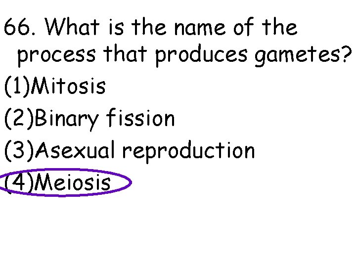 66. What is the name of the process that produces gametes? (1)Mitosis (2)Binary fission