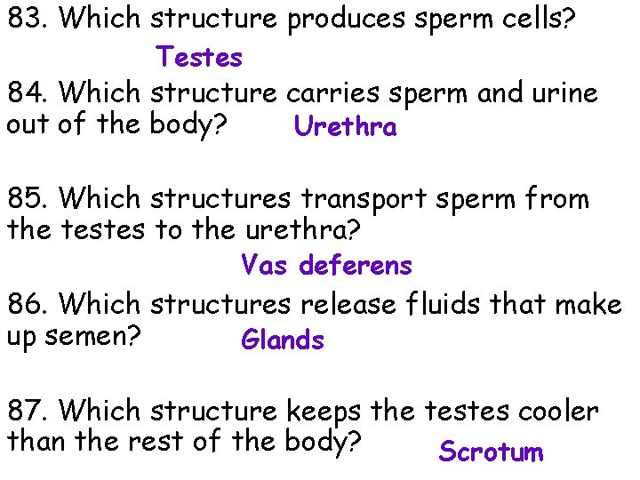 83. Which structure produces sperm cells? Testes 84. Which structure carries sperm and urine