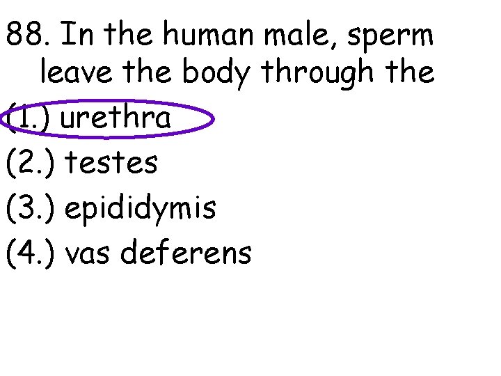 88. In the human male, sperm leave the body through the (1. ) urethra
