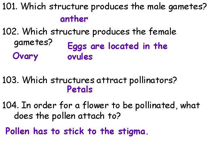 101. Which structure produces the male gametes? anther 102. Which structure produces the female