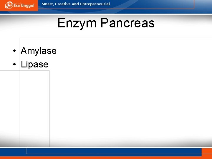 Enzym Pancreas • Amylase • Lipase 