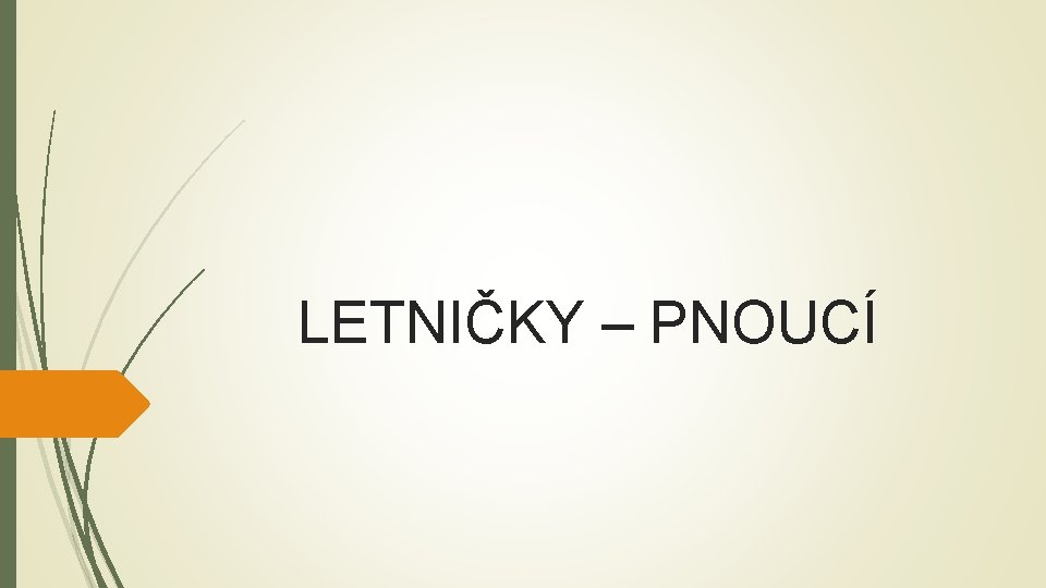 LETNIČKY – PNOUCÍ 