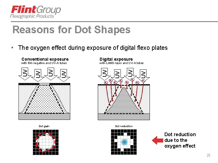 Reasons for Dot Shapes • The oxygen effect during exposure of digital flexo plates