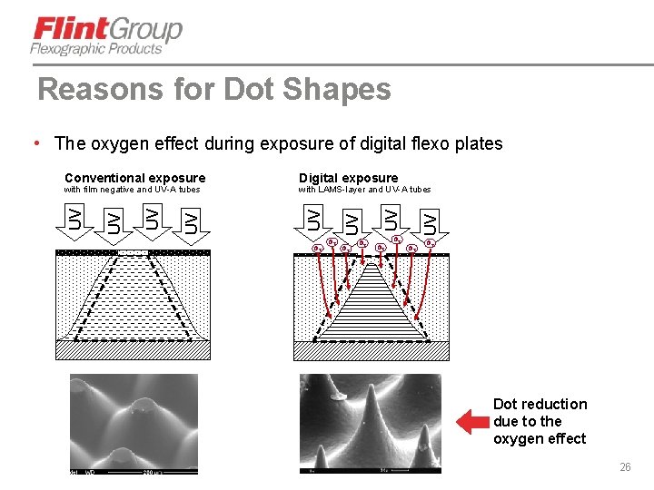 Reasons for Dot Shapes • The oxygen effect during exposure of digital flexo plates