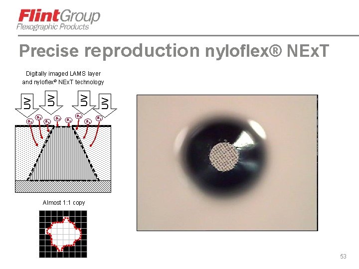 Precise reproduction nyloflex® NEx. T O 2 O 2 UV UV Digitally imaged LAMS