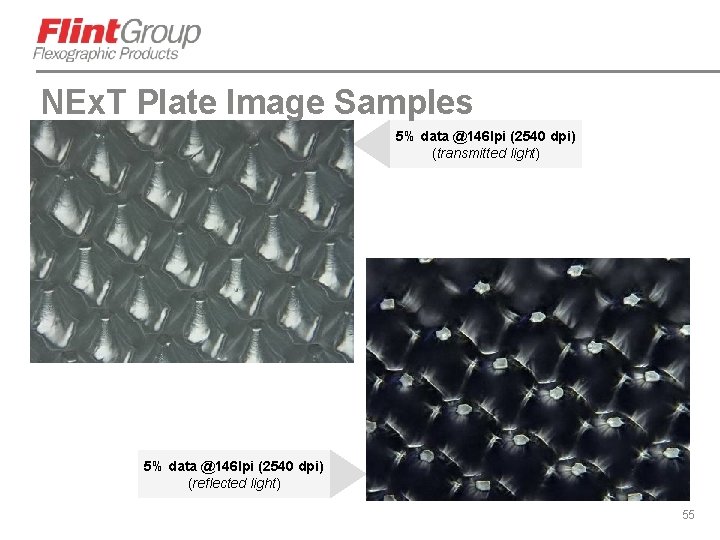 NEx. T Plate Image Samples 5% data @146 lpi (2540 dpi) (transmitted light) 5%