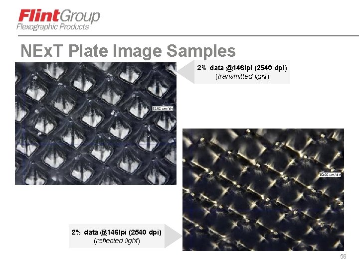 NEx. T Plate Image Samples 2% data @146 lpi (2540 dpi) (transmitted light) 2%