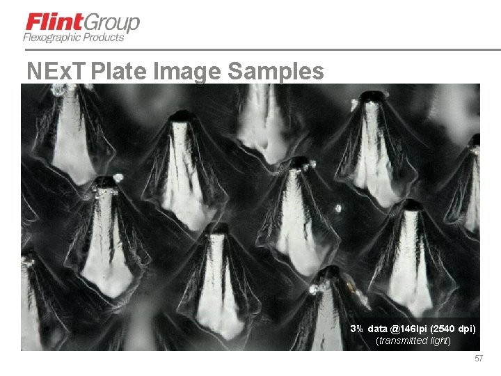 NEx. T Plate Image Samples 3% data @146 lpi (2540 dpi) (transmitted light) 57