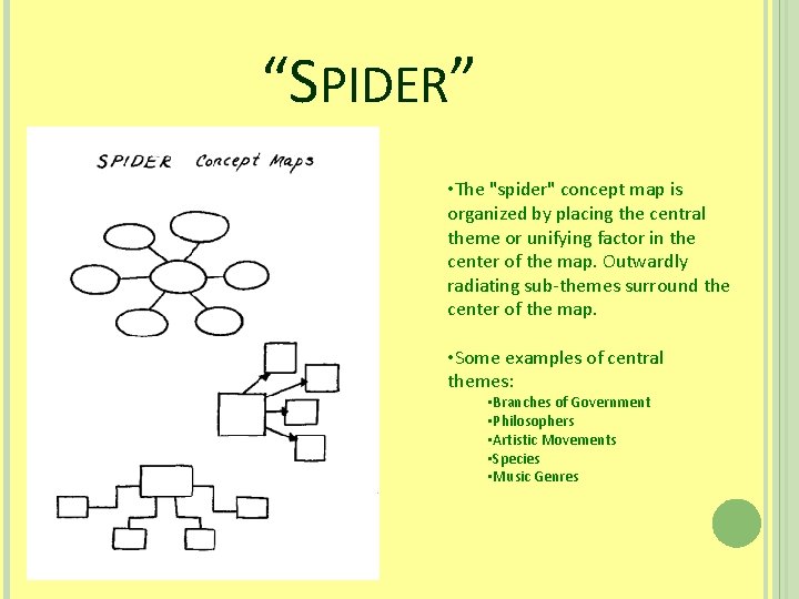 “SPIDER” • The "spider" concept map is organized by placing the central theme or