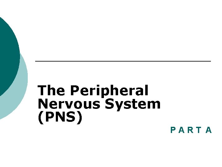 The Peripheral Nervous System (PNS) PART A 