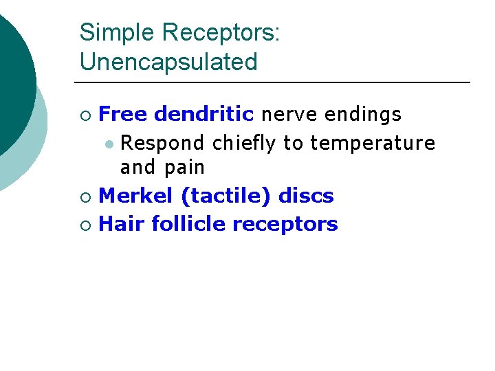 Simple Receptors: Unencapsulated Free dendritic nerve endings l Respond chiefly to temperature and pain