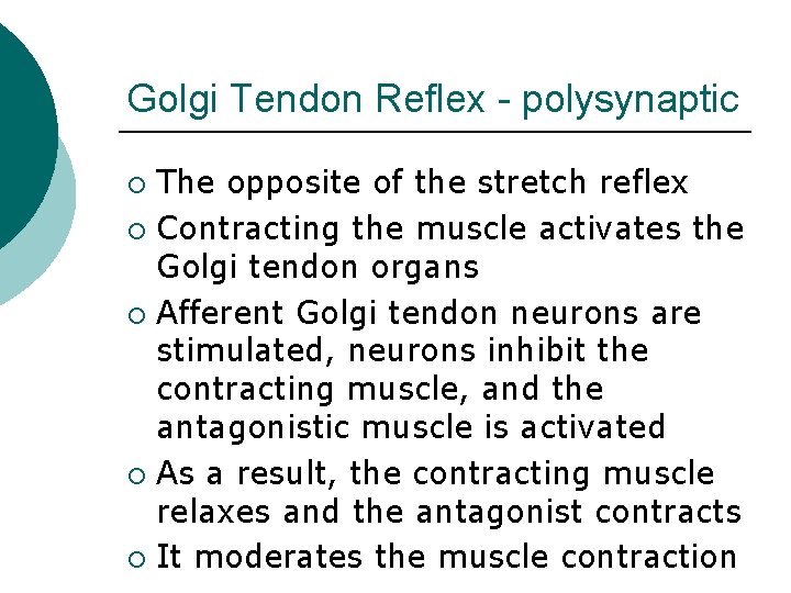 Golgi Tendon Reflex - polysynaptic The opposite of the stretch reflex ¡ Contracting the