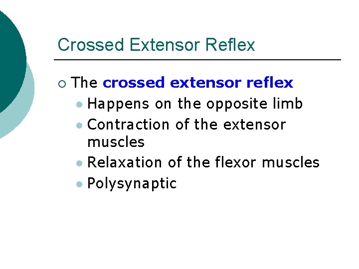 Crossed Extensor Reflex ¡ The crossed extensor reflex l Happens on the opposite limb Crossed Extensor Reflex ¡ The crossed extensor reflex l Happens on the opposite limb