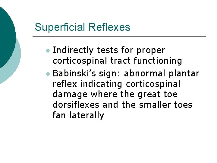 Superficial Reflexes Indirectly tests for proper corticospinal tract functioning l Babinski’s sign: abnormal plantar