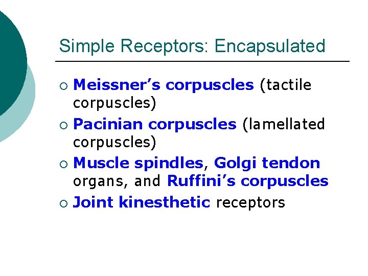 Simple Receptors: Encapsulated Meissner’s corpuscles (tactile corpuscles) ¡ Pacinian corpuscles (lamellated corpuscles) ¡ Muscle
