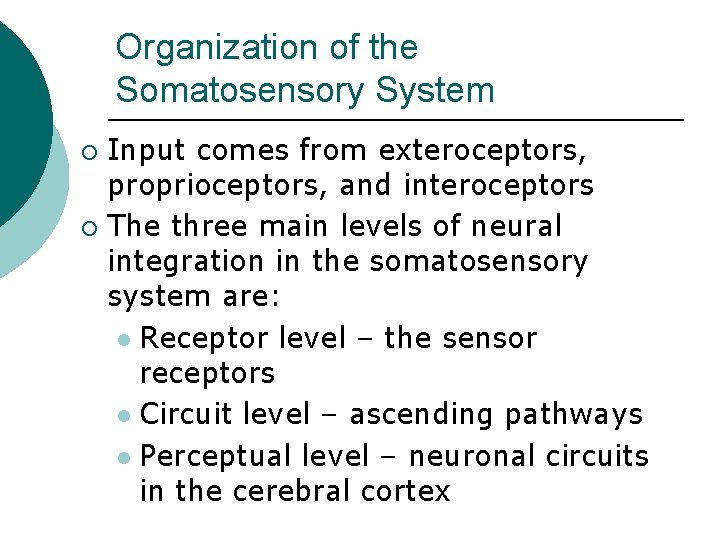 Organization of the Somatosensory System Input comes from exteroceptors, proprioceptors, and interoceptors ¡ The