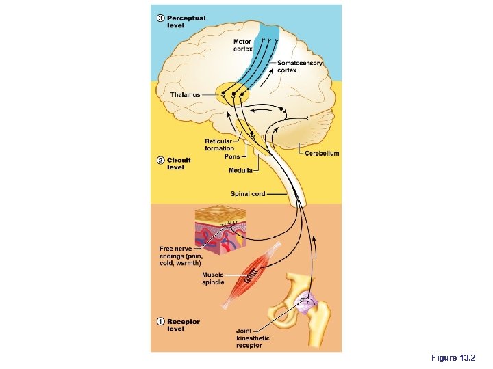 Figure 13. 2 