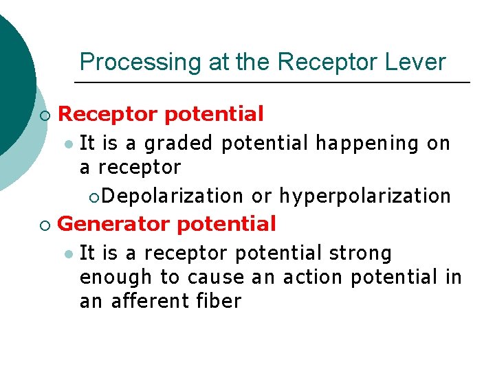 Processing at the Receptor Lever Receptor potential l It is a graded potential happening