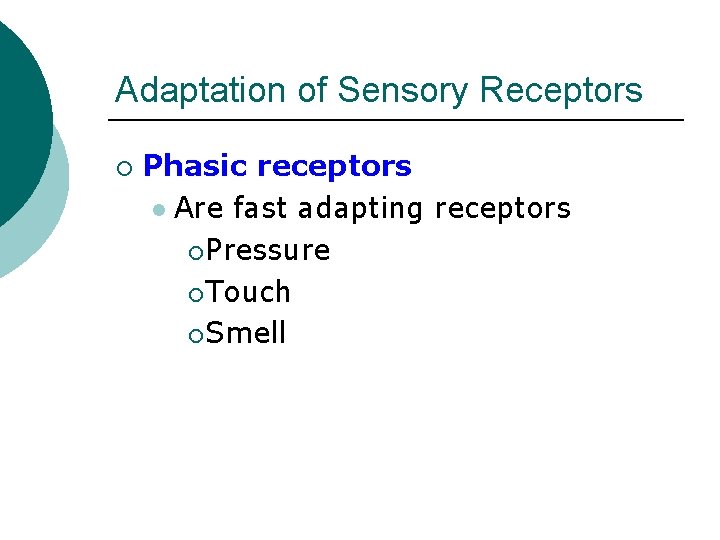 Adaptation of Sensory Receptors ¡ Phasic receptors l Are fast adapting receptors ¡ Pressure