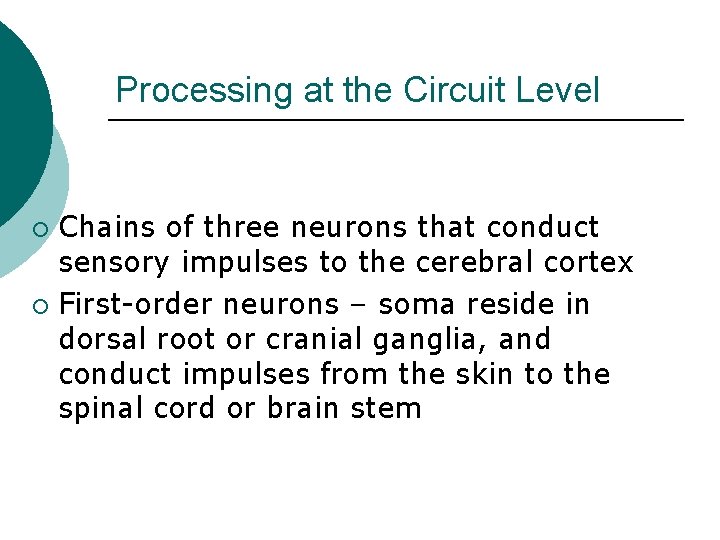 Processing at the Circuit Level Chains of three neurons that conduct sensory impulses to