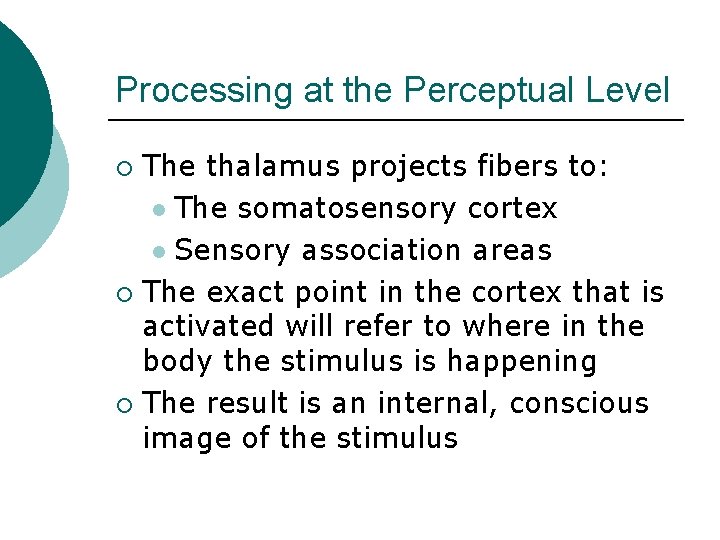 Processing at the Perceptual Level The thalamus projects fibers to: l The somatosensory cortex