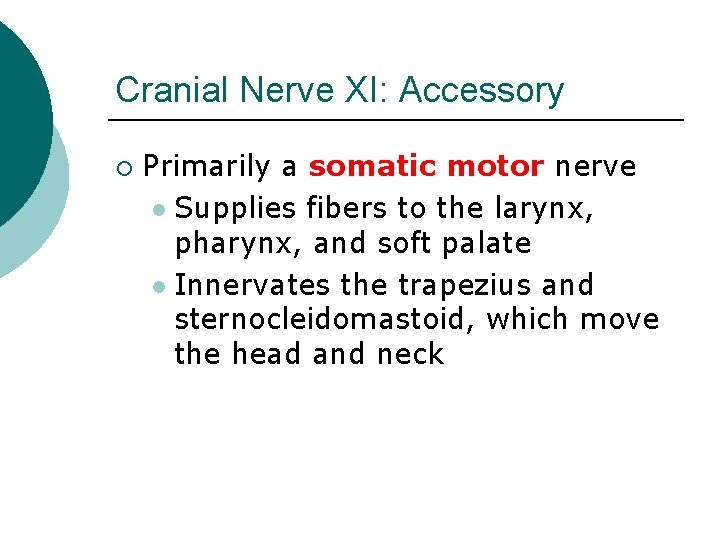 Cranial Nerve XI: Accessory ¡ Primarily a somatic motor nerve l Supplies fibers to