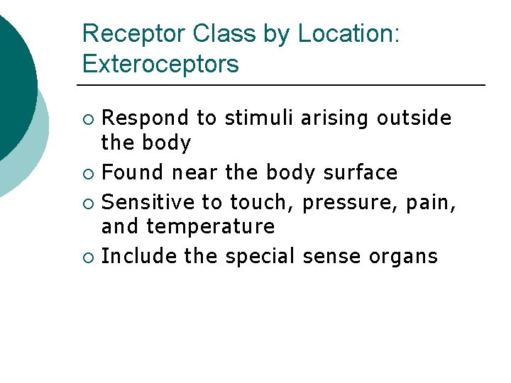 Receptor Class by Location: Exteroceptors Respond to stimuli arising outside the body ¡ Found