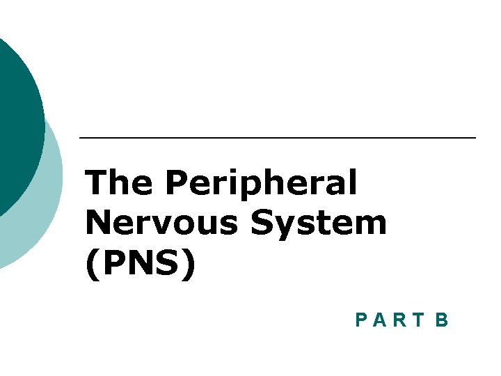 The Peripheral Nervous System (PNS) PART B 