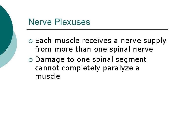 Nerve Plexuses Each muscle receives a nerve supply from more than one spinal nerve